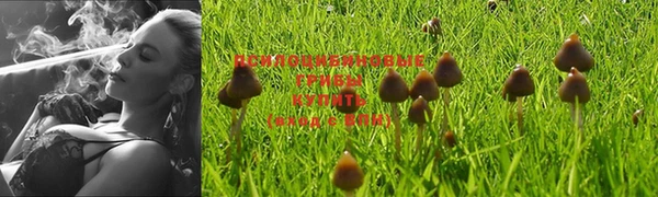 кокаин премиум Аркадак